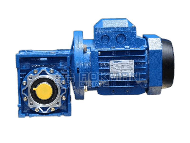 RV Series Worm Gear Motors