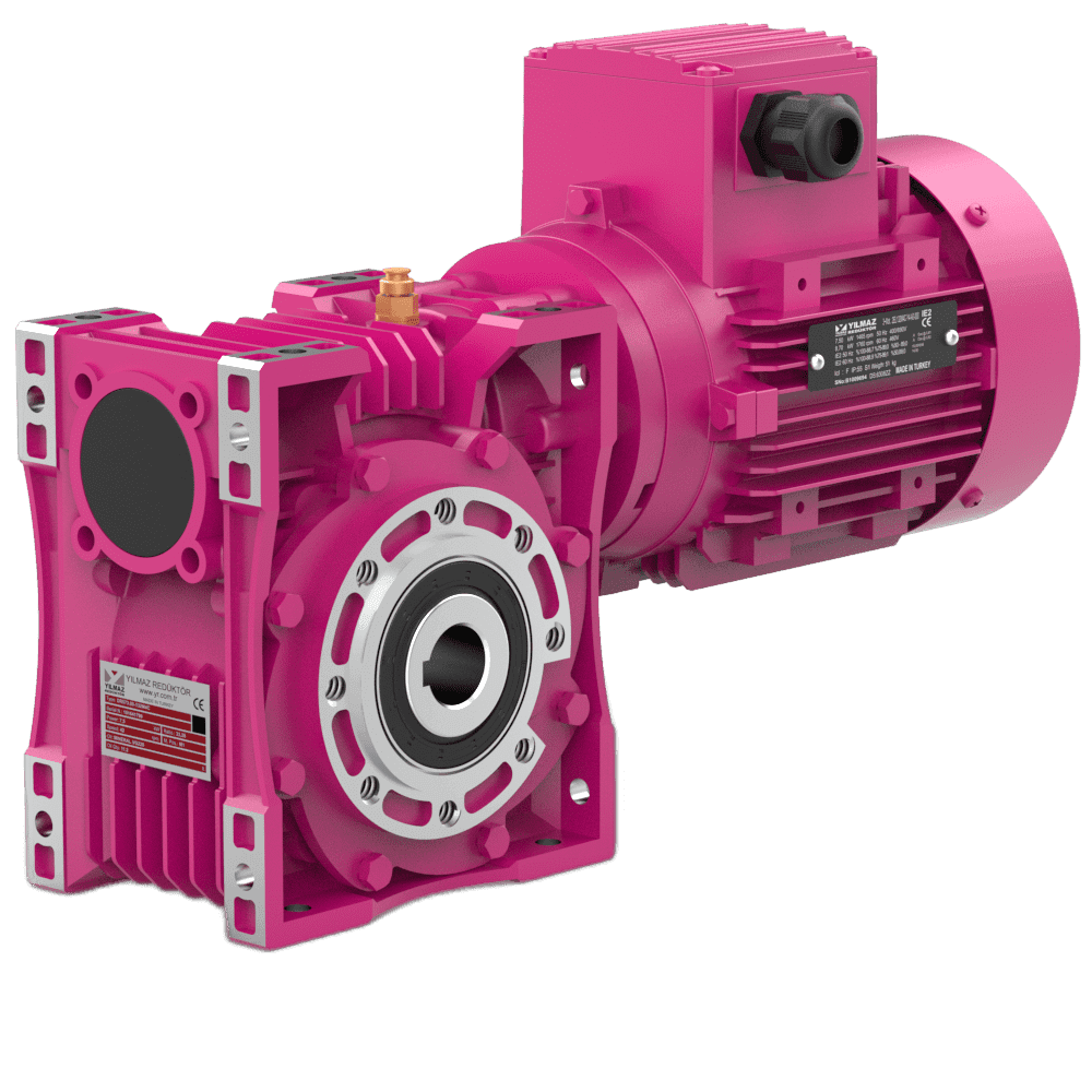E Series Worm Gear Unit